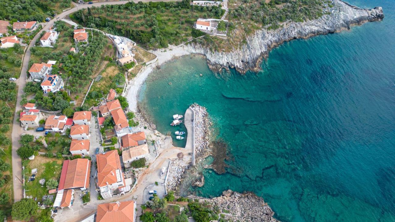 κοχύλι *