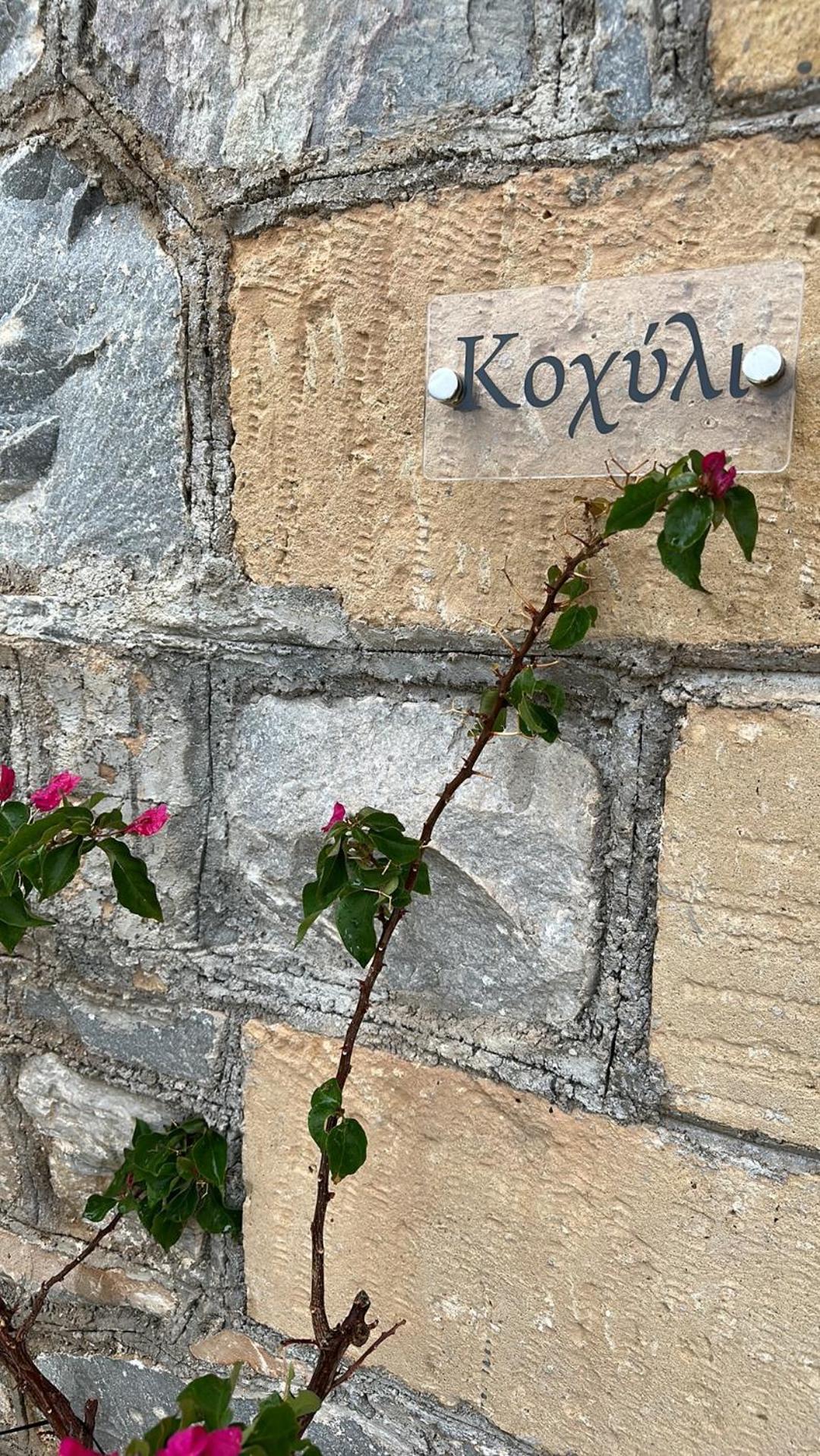 κοχύλι Kotronion (West Mani)